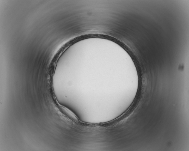 X0000111640926200908141403
