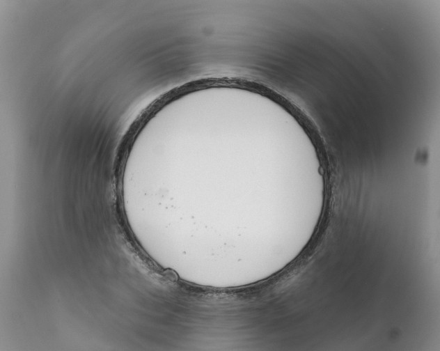 X0000111640927200908141403