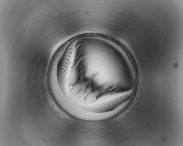 X0000111640928200908141403