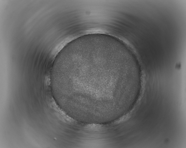 X0000111640929200908141403