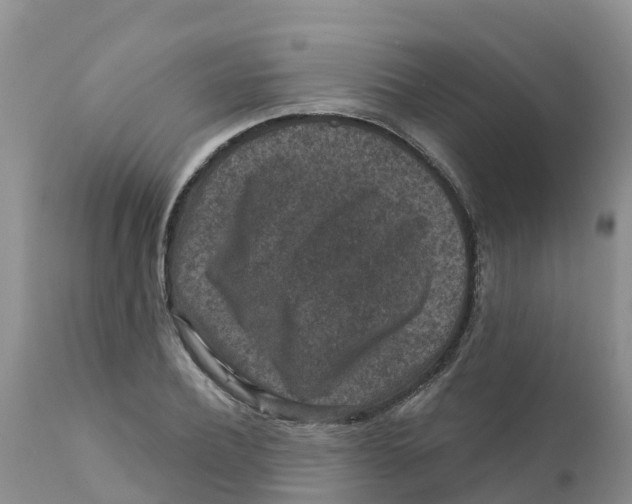 X0000111640932200908141403