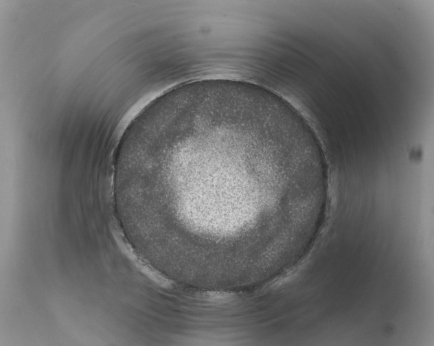 X0000111640933200908141403