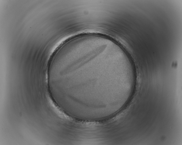 X0000111640934200908141403