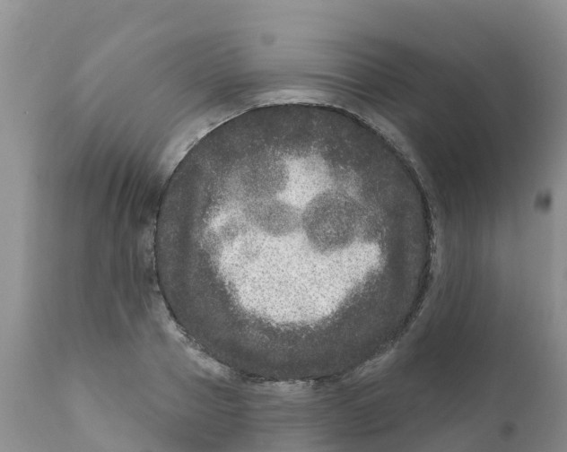 X0000111640937200908141404