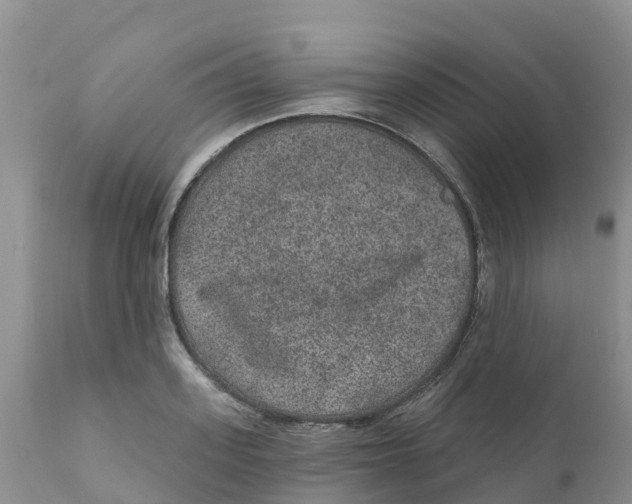 X0000111640939200908141404