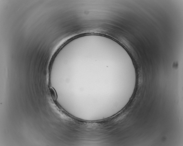 X0000111640940200908141404