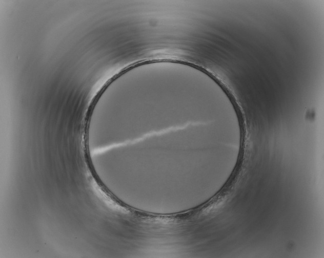 X0000111640941200908141404