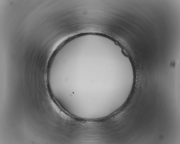X0000111640942200908141404