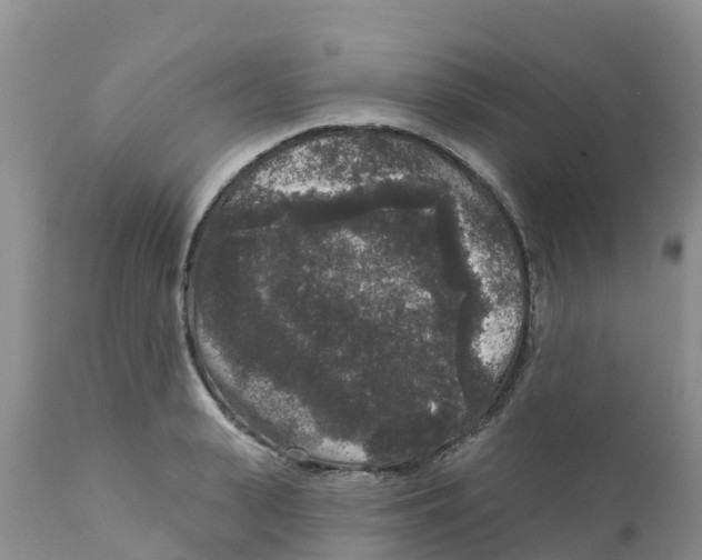 X0000111640943200908141404