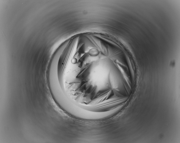 X0000111640944200908141404