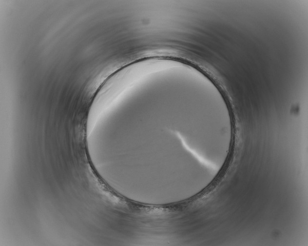 X0000111640945200908141404