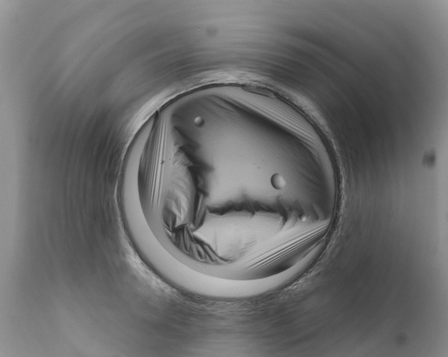 X0000111640946200908141404