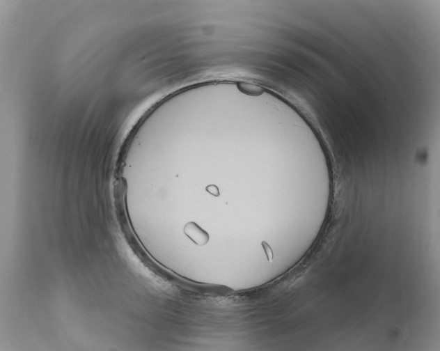 X0000111640947200908141404