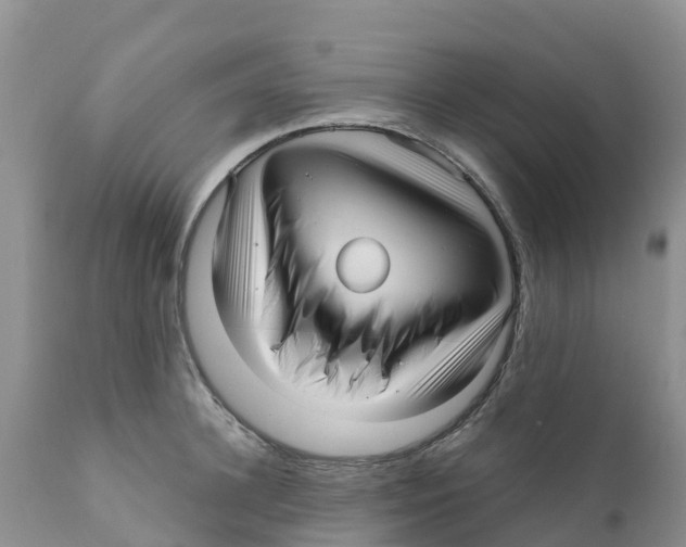 X0000111640948200908141404
