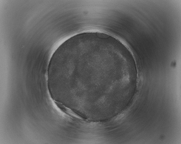 X0000111640951200908141404