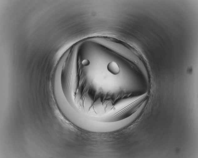 X0000111640952200908141404