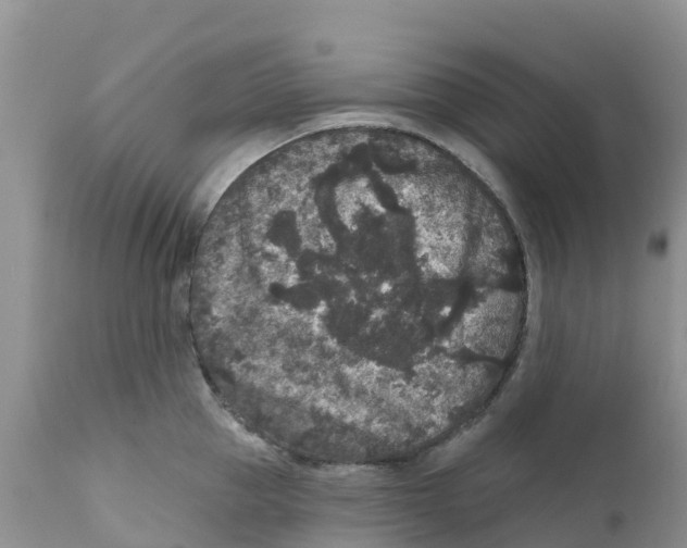 X0000111640953200908141404