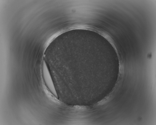 X0000111640954200908141404