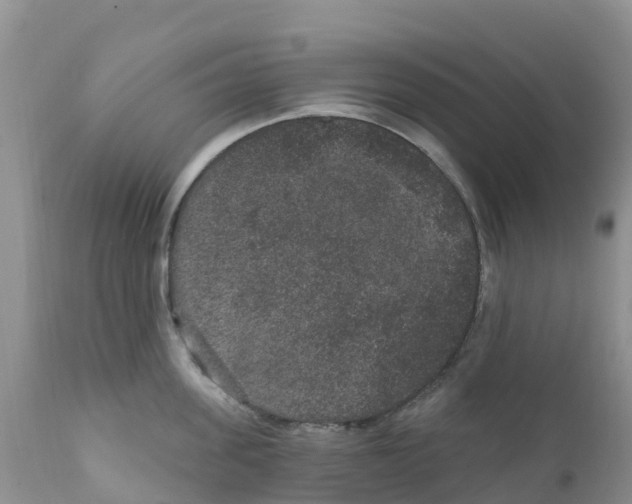 X0000111640955200908141404