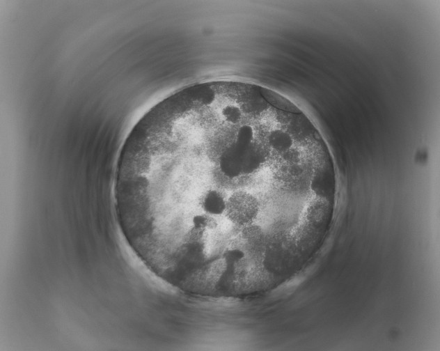 X0000111640957200908141404
