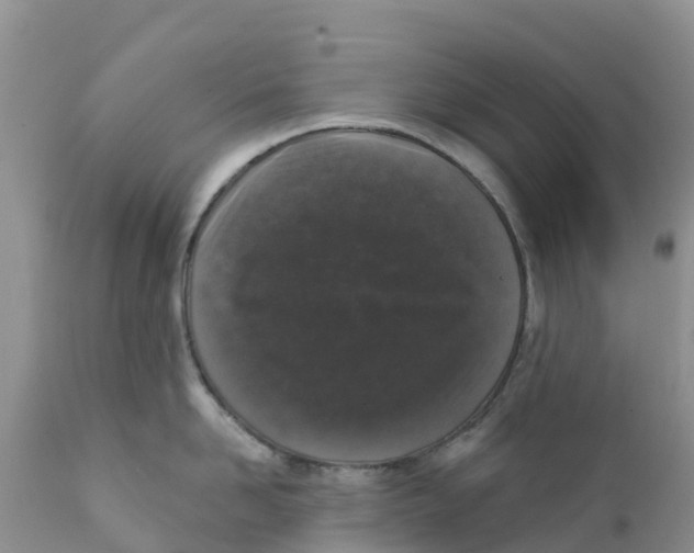 X0000111640958200908141404