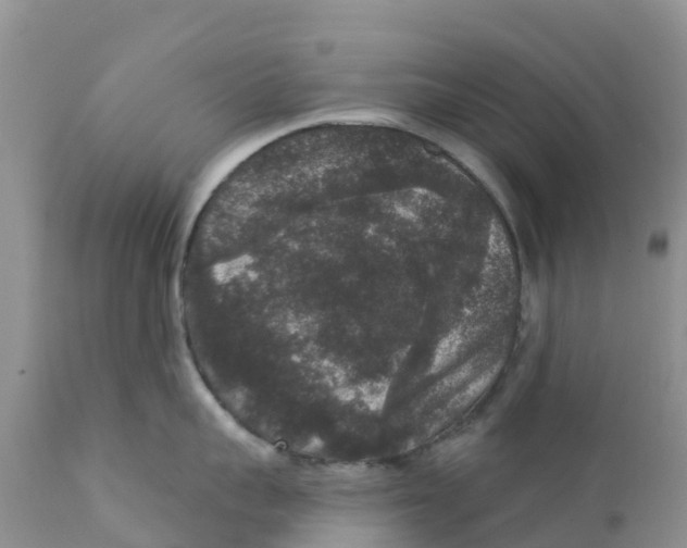 X0000111640959200908141404