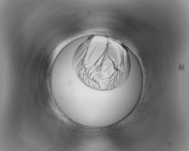 X0000111640960200908141404