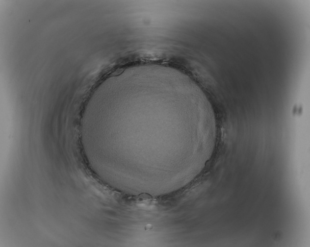 X0000111640961200908141403