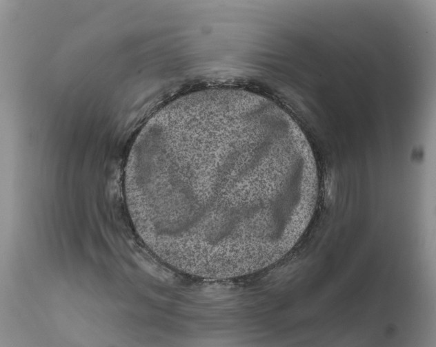 X0000111640964200908141403
