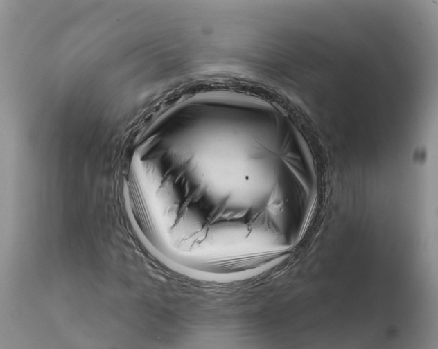 X0000111640965200908141403