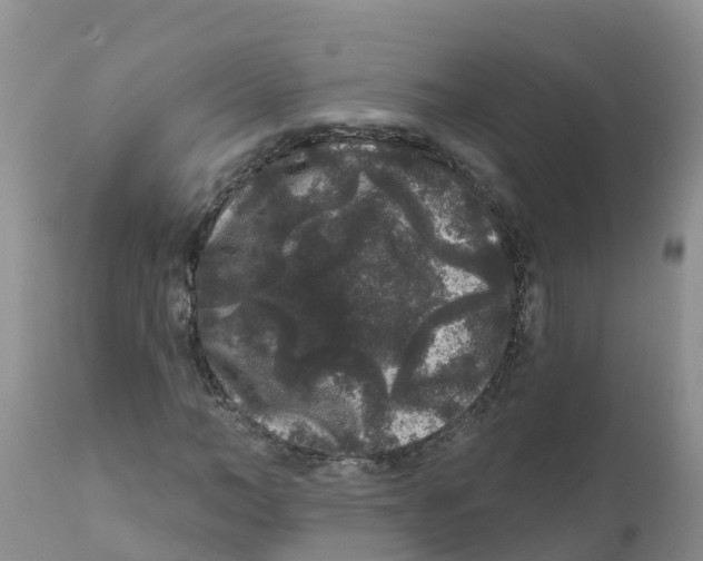 X0000111640966200908141403