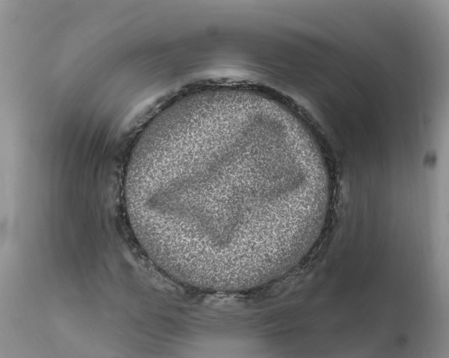 X0000111640967200908141403