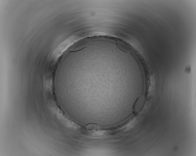 X0000111640969200908141403
