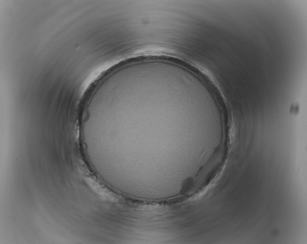 X0000111640973200908141403
