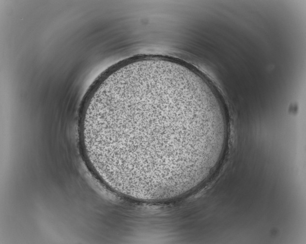X0000111640976200908141403