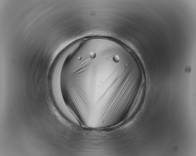 X0000111640981200908141403