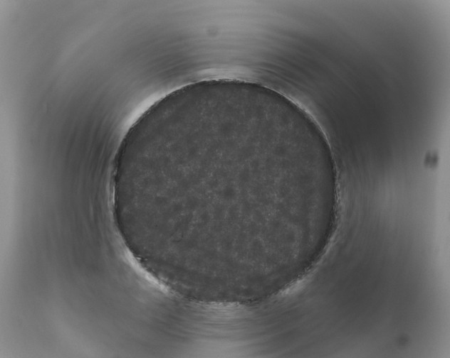 X0000111640983200908141403