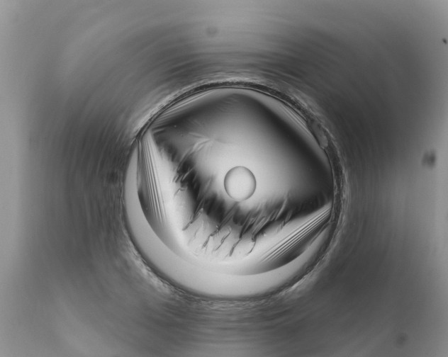 X0000111640985200908141403