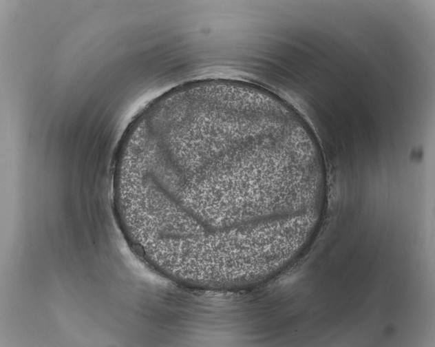 X0000111640987200908141403