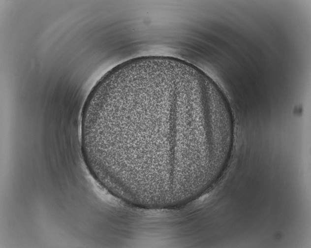 X0000111640988200908141403
