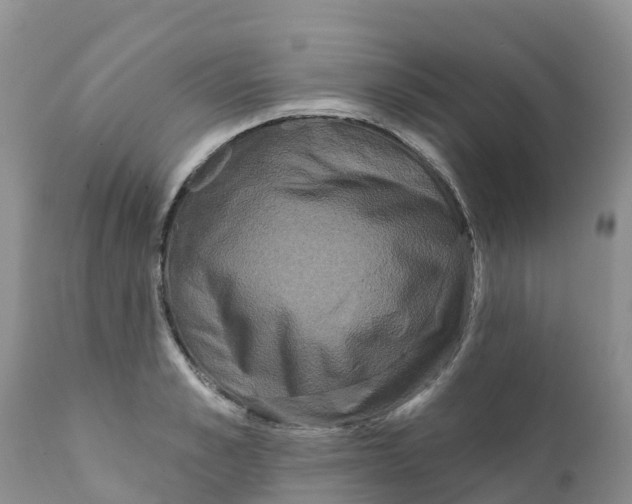 X0000111640989200908141403