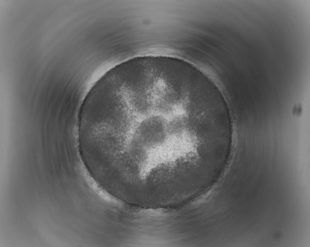 X0000111640990200908141403