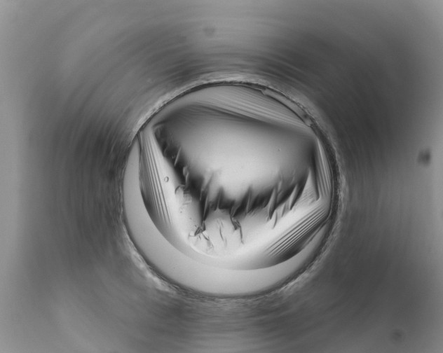X0000111640993200908141403