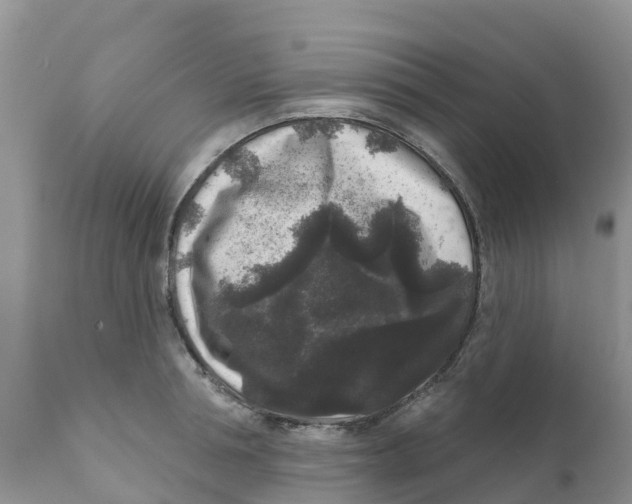 X0000111640994200908141403