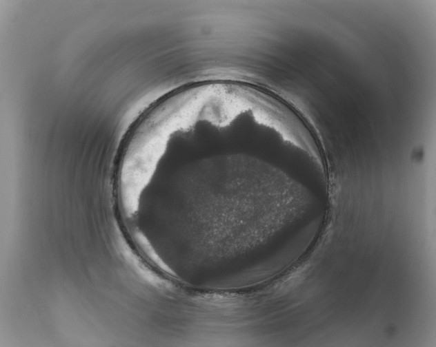 X0000111640995200908141403