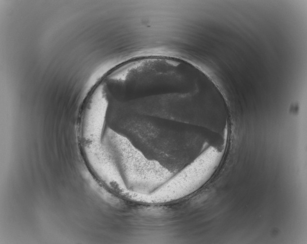 X0000111640998200908141403
