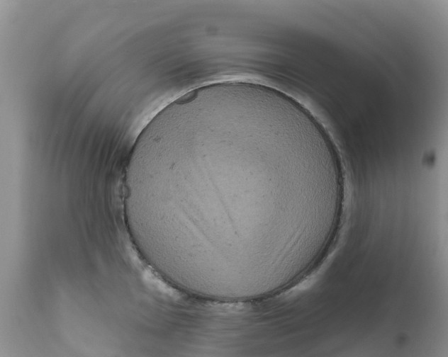 X0000111641001200908141403