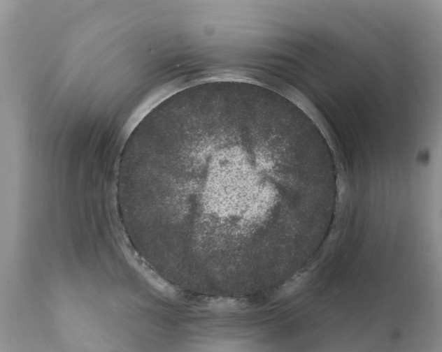 X0000111641002200908141403