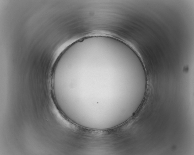 X0000111641003200908141403