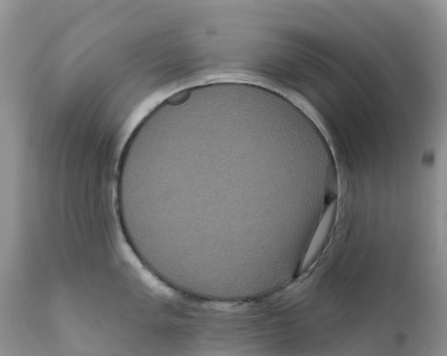 X0000111641005200908141403
